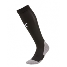 Team LIGA Socks CORE